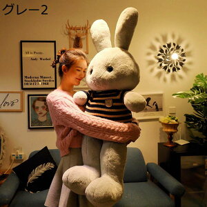 傫e D D 80cm 120cm 140cm 160cm E\ NbV  ӂ  a Mtg    ObY CeA YQ QԂT|[g 