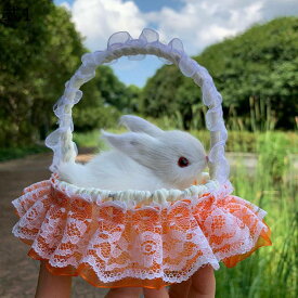 がこ兎 縫いぐるみ 縫い包み バスケット兎 うさぎ リアル 本物そっくり プレゼント 面白い オリジナル おもちゃ かわいい 萌えグッズ 添い寝枕 ベッド インテリア 高反発 記念日 お祝い ギフト 10x4.5x6cm