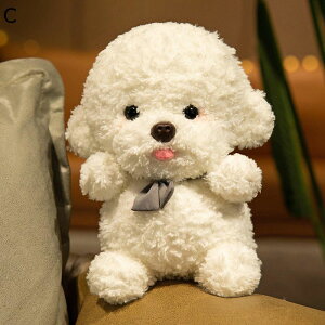 ʖD y D rVt[[ 35cm A ܂ 킢 NbV  JCC GG   CeA  LO j v[g