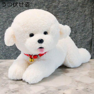 D D rVt[[ A { 48cm 28cm  `  NbV ӂӂ  u 薍 ʔ GG fXN _炩 v[g 