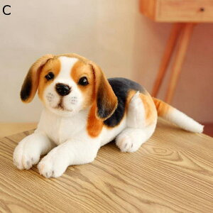 A AD D { _VA Č nXL[  ӂ  a Mtg 킢   ObY  ObY ˂ނ˂ 