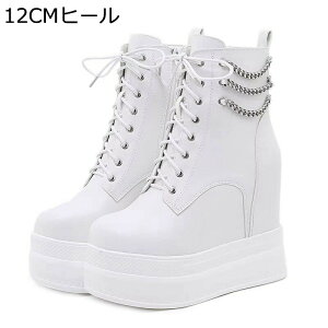  V[gu[c fB[X TChWbv EFbW\[ nCq[ [XAbv vbgtH[ H~ EhgD r  ʋΒʊw Cq[ gAbv ؍ n 