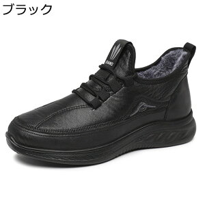 JWAV[Y {A ~C Y Xm[u[c EH[LOV[Y nCJbg  AEghA ۉ RtH[g h ϖ [XAbv ₷ oRC o VjA