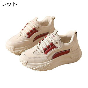 Xj[J[  fB[X [Jbg gAbv 5cmq[ oCJ[ PU bV ʋC X|[cV[Y EhgD h NbV ɂȂ r JWA ʊw o