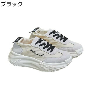 Xj[J[  fB[X [Jbg _bhXj[J[ [XAbv h gAbv oCJ[ ʋC tȂH~ Sn ₷ L r gUP X|[c EBY s