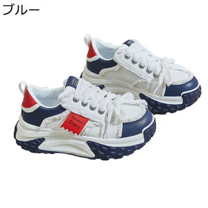  Xj[J[ fB[X [XAbv 5CMq[ [Jbg oCJ[ ^bN IV gAbv EhgD Xg[g jO h NbV Ȑ r H~t