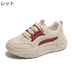 Xj[J[  fB[X [Jbg [XAbv oCJ[ ʋC ʔNKp PU EhgD 4CMq[ bV IV K JWA  r f[[ X|[c