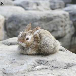 ETMu eʂ { H|i  CeA f   A LbY l a NX}XMtg Be G ii  