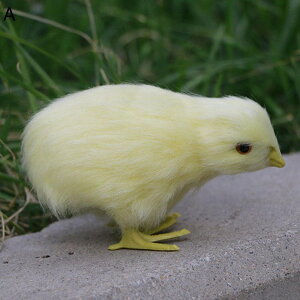 ʂ Ђ悱 { f CeA  A ii u^ Be ͌^ G   H|i  ӂӂ a NX}X 蕨