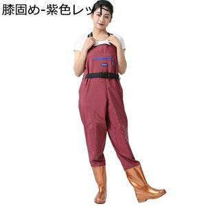 `FXgnCEF[_[ fB[X ƌC hڂ V_[xg WA ̐^ Ɨp cA  EF[_[ Y   Cu[c O h ~ 