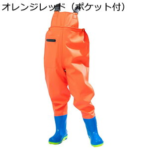 `FXgnCEF[_[ qp EF[_[ ƌC Sh V_[xg ~ h WA ̐^    LbY  OCu[c Wbv|Pbg