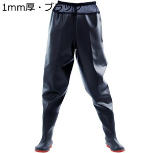 EF[_[ EFXgEF[_[ ƌC hڂ jp R߉\ bV WA\[ kނ cA ~J J 傫TCY  OCu[c h ~ h