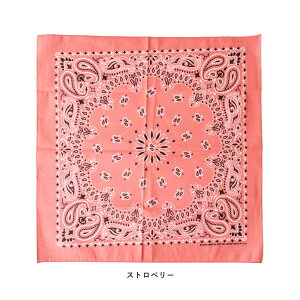 yHAV-A-HANK nonNz o_i yCY[ V uh AJ č  uh Y fB[X v   Rbg nJ` XJ[t ANZg AW 