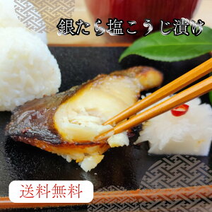 yz₽牖Ђ 80g×5؃Zbg Ћ L   N  Hׂ₷ Ђ
