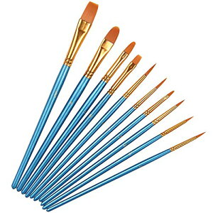 Tigre Amore M uV G  G̋ GM ʕM vf h 10{ Zbg (AZbg)