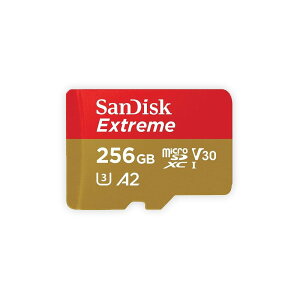 SanDisk 256GB microSDJ[h SDXC UHS-1 U3 V30 4K Ultra HDΉ SDSQXA1-256G-GN6MN