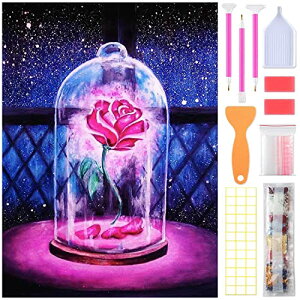 SUPECENT _ChA[g Lbg _CAhr[YGLbg DIYEG|Lbg 5D UCNA[g _Chh Sʓ\t^Cv 30x40cm(17)