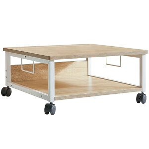IBUYKE v^[ 2i ItBXS [ [ fXN ω׏d50kg LX^[t 50cm s50cm 24cm i` JPTLJ008R