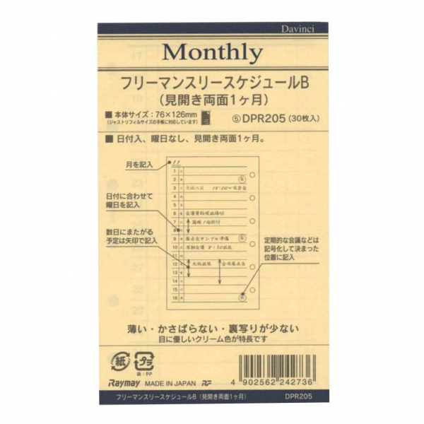 レイメイ藤井 ダ・ヴィンチ ミニ6サイズ システム手帳リフィル フリーマンスリーB DPR205