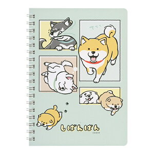 Om[g  B6TCY ΂΂yĂĂāz킢