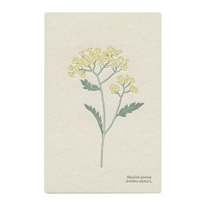 ň |XgJ[hymRM\Ez{^jJ 