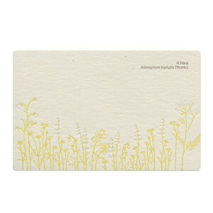 ň |XgJ[hycKljWz{^jJ 