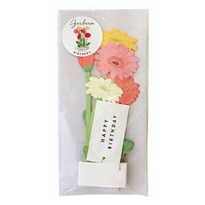 o[Xf[ u[~OJ[h yK[xz킢 {^jJ