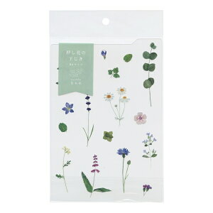  B6TCY CfbNXty؉ԁEn[uz