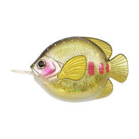 FISH MEASURE フィッシュメジャー【イワナ】フィッシュ メジャー 巻き尺 かわいい