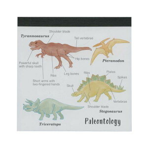 STUDY HOLIC pbhEXNGAyÐwz 킢