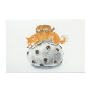 cĉ ΂ʂƂ |XgJ[hy啟z킢