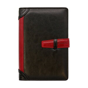 VXe蒠 B6(oCu)TCY Greeful VXem[g SyubN×Cz