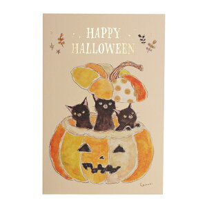 gRRM nEB |XgJ[hyڂ̒ɍLz