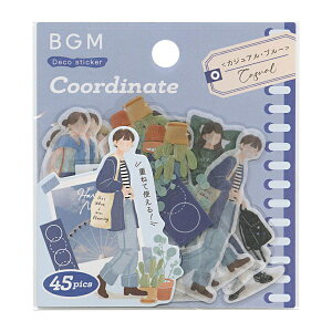 �R�[�f�B�l�[�g �V�[�� 45�����y�J�W���A��/�u���[�z�X�e�b�J�[ �a��