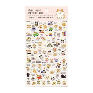  XPW[V[y˂zXPW[ V[ 蒠 \  L lR 킢