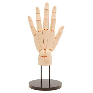 1/1XP[ ARTIST SUPPORT ITEM nhf Lyy[IW/z