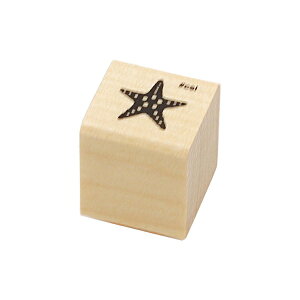 NACuX^v X^v S nRyqgfzfR 킢