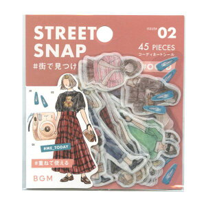 �R�[�f�B�l�[�g �V�[�� 45�����y�����̎��E�X�i�b�v�z�X�e�b�J�[ �a��