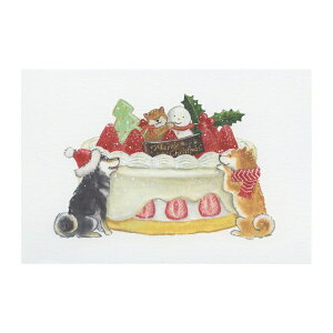 |XgJ[h ΂ʂƃNX}X cĉ yP[Lz킢