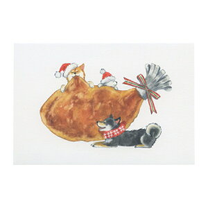 |XgJ[h ΂ʂƃNX}X cĉ y`Lz킢