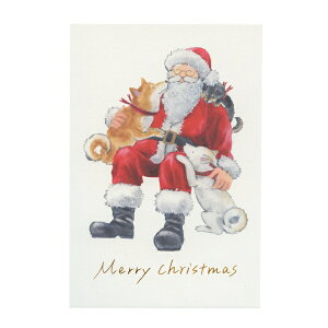 |XgJ[h ΂ʂƃNX}X cĉ yT^N[Xz킢