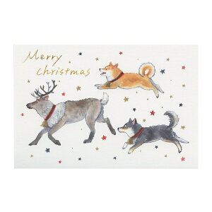 |XgJ[h ΂ʂƃNX}X cĉ ygiJCz킢