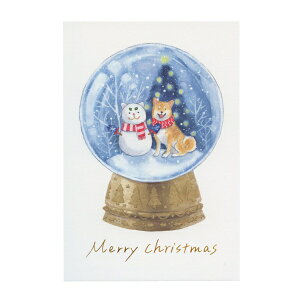 |XgJ[h ΂ʂƃNX}X cĉ yXm[h[z킢