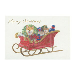 |XgJ[h ΂ʂƃNX}X cĉ yz킢