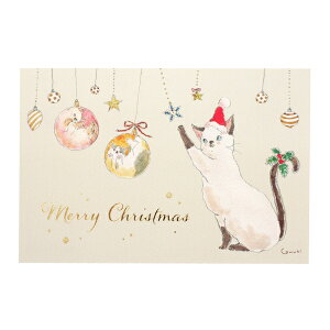 |XgJ[h NX}X gRRMyI[igz