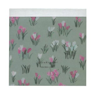 XNGA pbhyCrocus/NbJXz