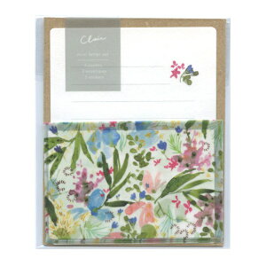 GER~[ Clair/N[ ~j^[Zbg yLucent Terracez{^jJ LTS-034