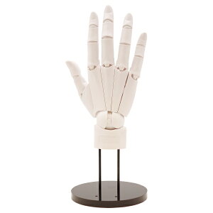 1/1XP[ ARTIST SUPPORT ITEM nhf RyzCg/Ez