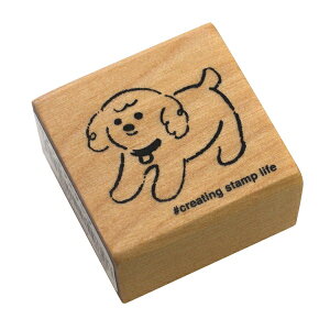 NACuX^v X^v S nRyzfR 킢