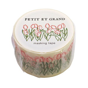 PETIT ET GRAND }XLOe[v 25mmyKoalazA  킢